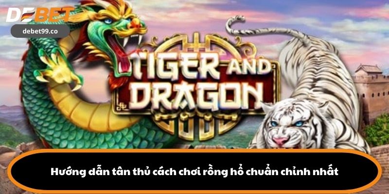 Hướng dẫn tân thủ cách chơi rồng hổ chuẩn chỉnh nhất
